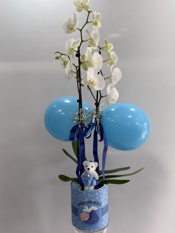 Erkek Bebek Beyaz Orkide Tasarım